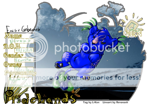 User Image